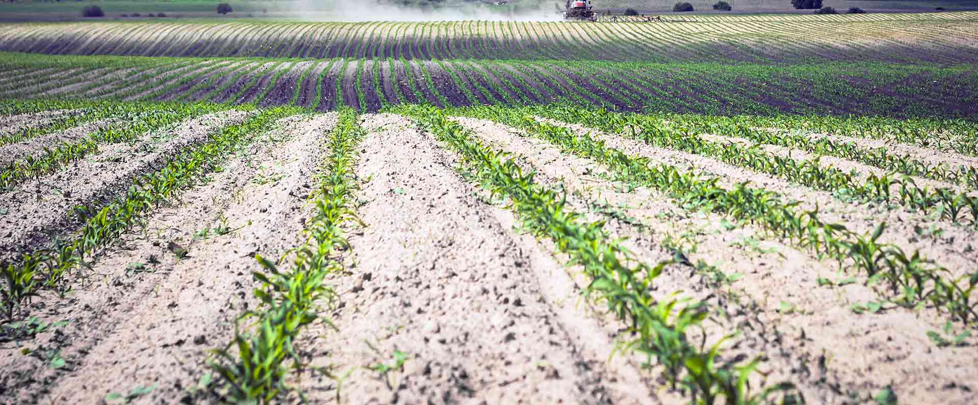 Herbicide Spraying